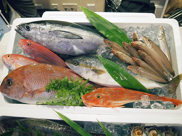 鮮魚BOX